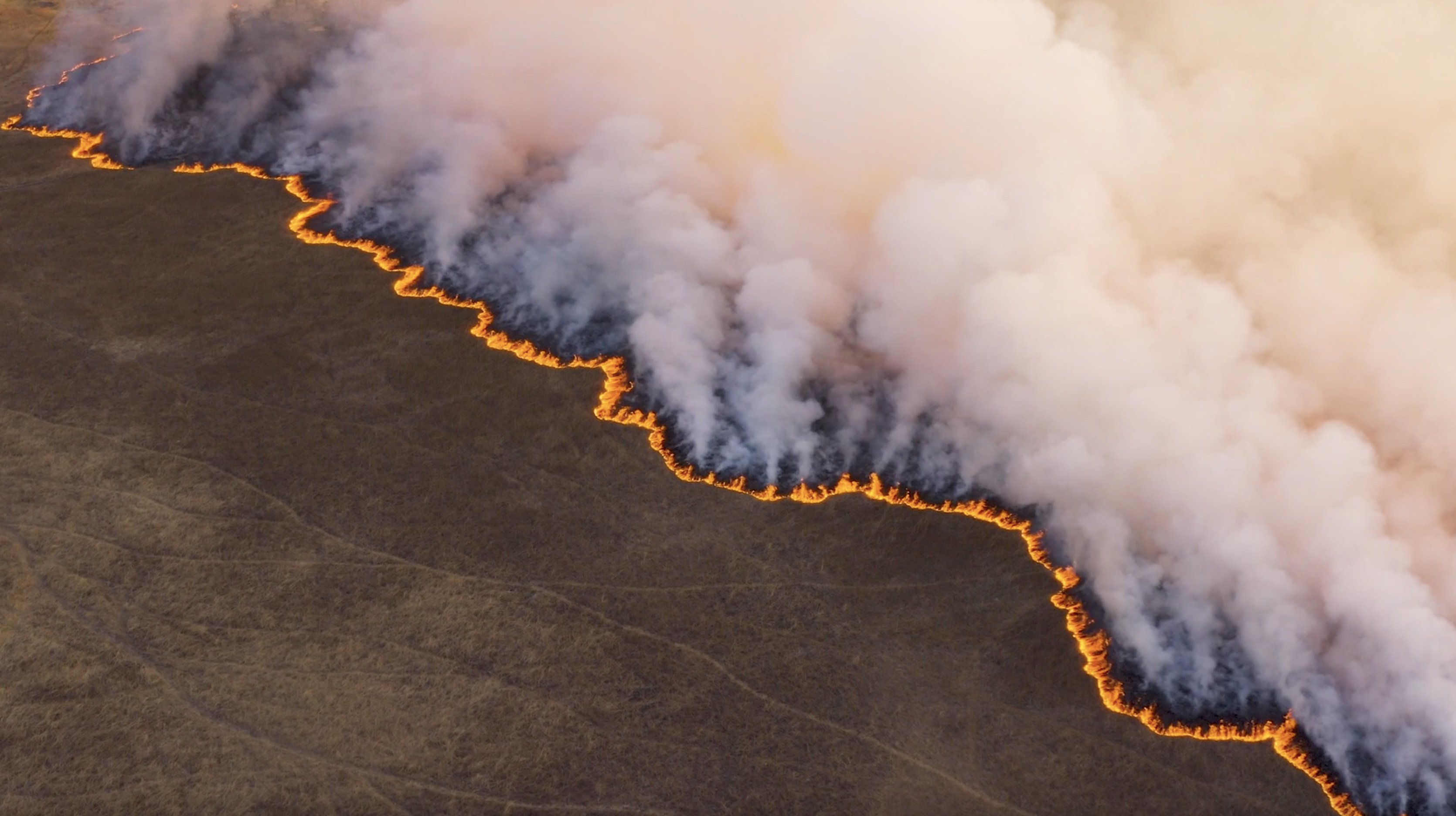 Wildfire aerial