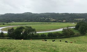 Towy Meanders