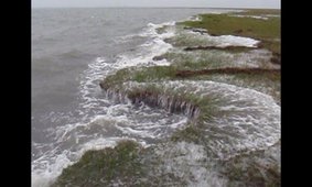 Salt marsh erosion